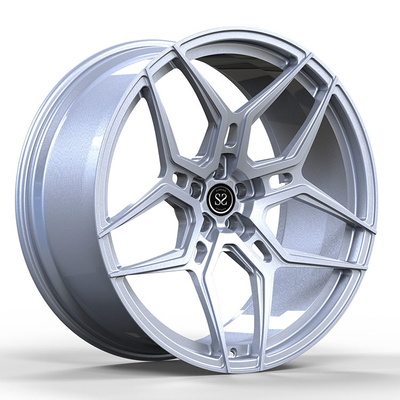 10~12Jx 22 Custom 1-PC πλαστική πλάκα για Porsche Panamera 2